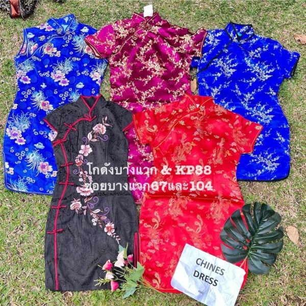 ชุดกี่เพ้า ป้ายขาว - Image 10