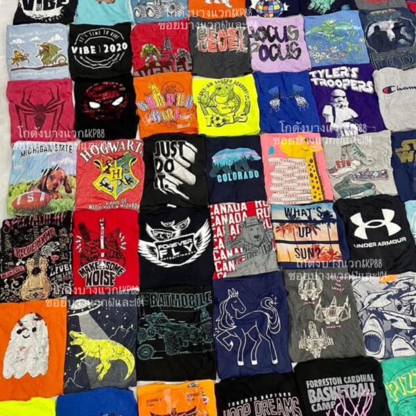 เสื้อยืดเด็กโต ป้ายอินทรี - Image 2