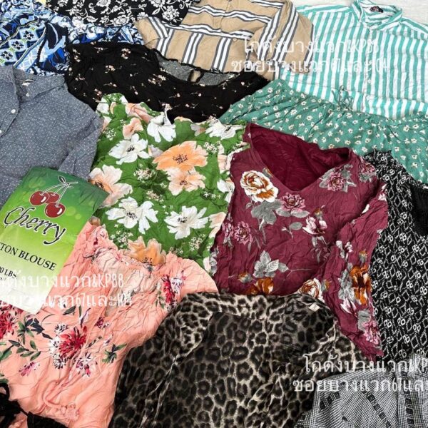 เสื้อแฟชั่นคอตตอน ป้ายเชอรี่ - Image 5