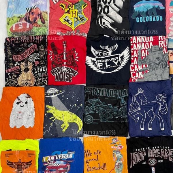 เสื้อยืดเด็กโต ป้ายอินทรี - Image 4