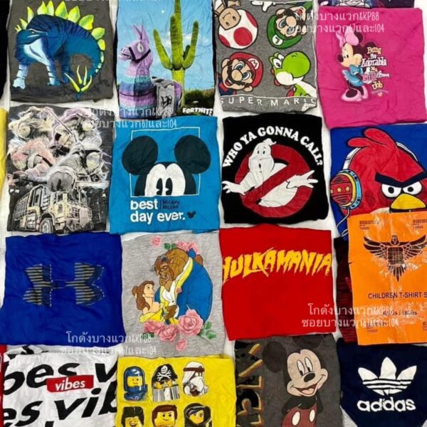 เสื้อยืดเด็กโต ป้ายอินทรี - Image 5