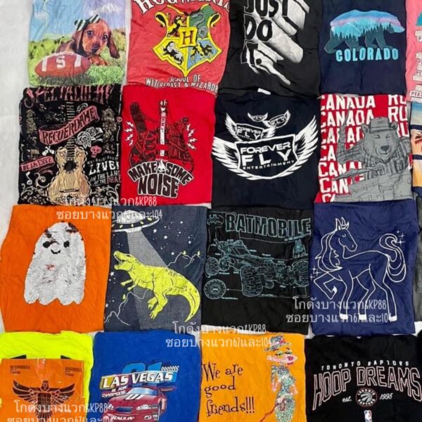 เสื้อยืดเด็กโต ป้ายอินทรี - Image 6