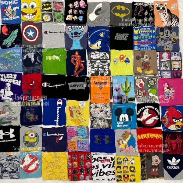 เสื้อยืดเด็กโต ป้ายอินทรี - Image 11