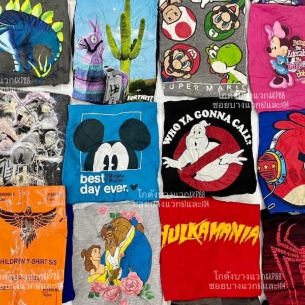เสื้อยืดเด็กโต ป้ายอินทรี - Image 12