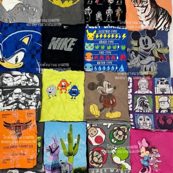 เสื้อยืดเด็กโต ป้ายอินทรี - Image 13
