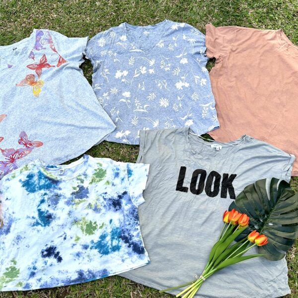 เสื้อยืดแฟชั่นสาวอวบ ป้ายอินทรีส้ม - Image 2