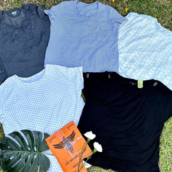 เสื้อยืดแฟชั่นสาวอวบ ป้ายอินทรีส้ม - Image 4