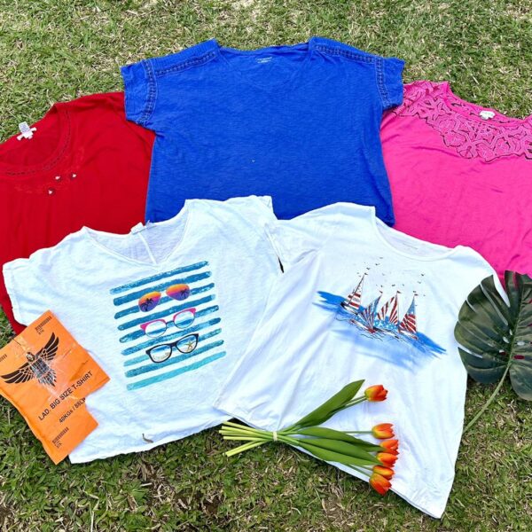 เสื้อยืดแฟชั่นสาวอวบ ป้ายอินทรีส้ม - Image 6