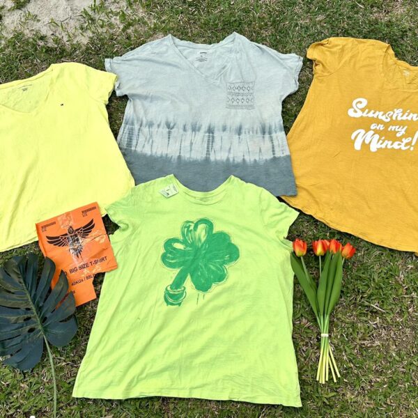 เสื้อยืดแฟชั่นสาวอวบ ป้ายอินทรีส้ม - Image 9
