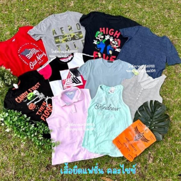 เสื้อยืดแฟชั่น ป้ายอินทรี - Image 2