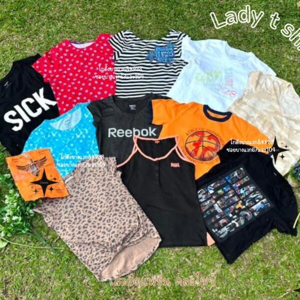 เสื้อยืดแฟชั่น ป้ายอินทรี - Image 3