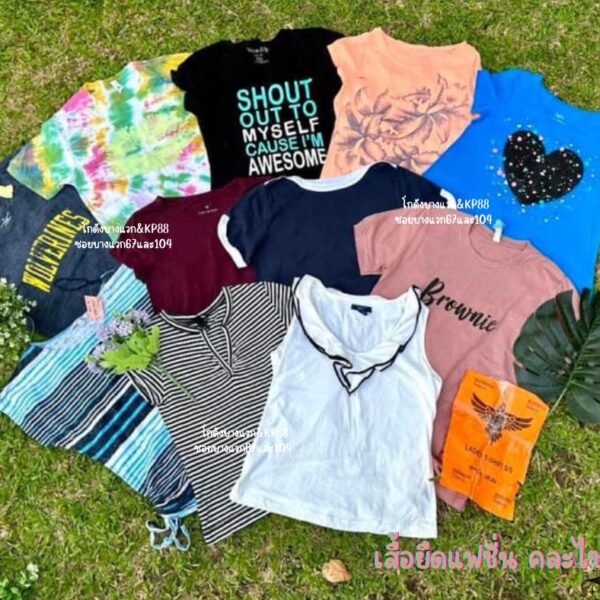 เสื้อยืดแฟชั่น ป้ายอินทรี - Image 7