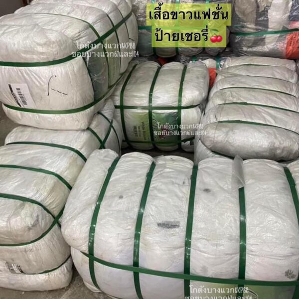 เสื้อขาวแฟชั่น ป้ายเชอรี่ (รีวิวลูกค้า) - Image 3