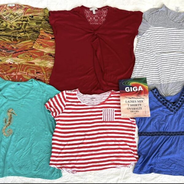 เสื้อยืดสาวอวบ ป้ายGiga - Image 4