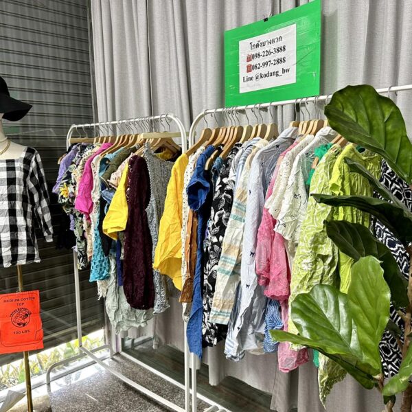 เสื้อแฟชั่นคอตตอน ป้ายส้ม - Image 2