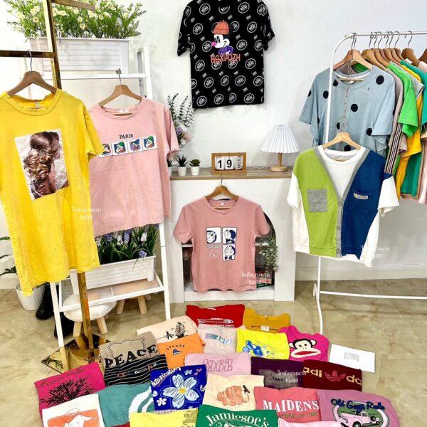 เสื้อยืดสีYD ป้ายแอปเปิ้ล - Image 13